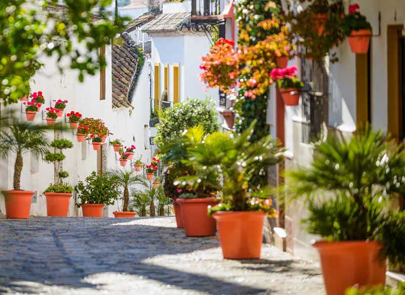 guide-estepona